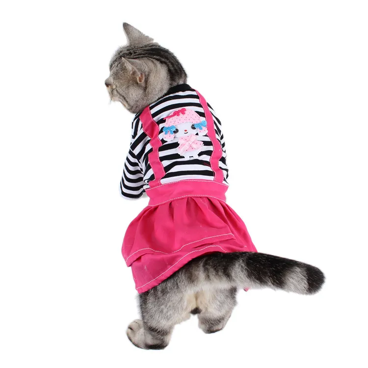 dog clothes (3)