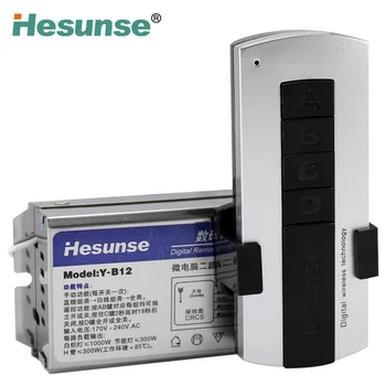 

High quality 2 loops Lighting remote switch 220v lighting lamp intelligent module free shipping