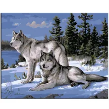 WEEN Two snow wolves oil painting by numbers kit on canvas,DIY Paint by numbers with frame, Home wall art picture 40X50cm