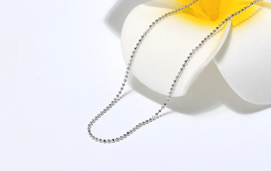 SC24-SCENE-IMG_2753-R