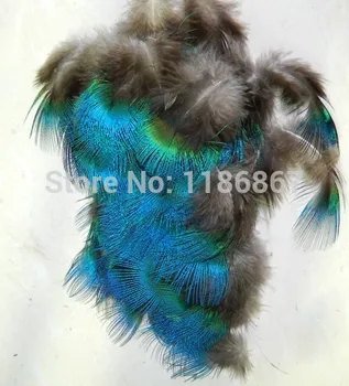 

Free shipping 2014 Hot sale 200pcs/Lot Approx 5cm natural BLUE PEACOCK BODY PLUMAGE FEATHERS craft millinery fly fishing