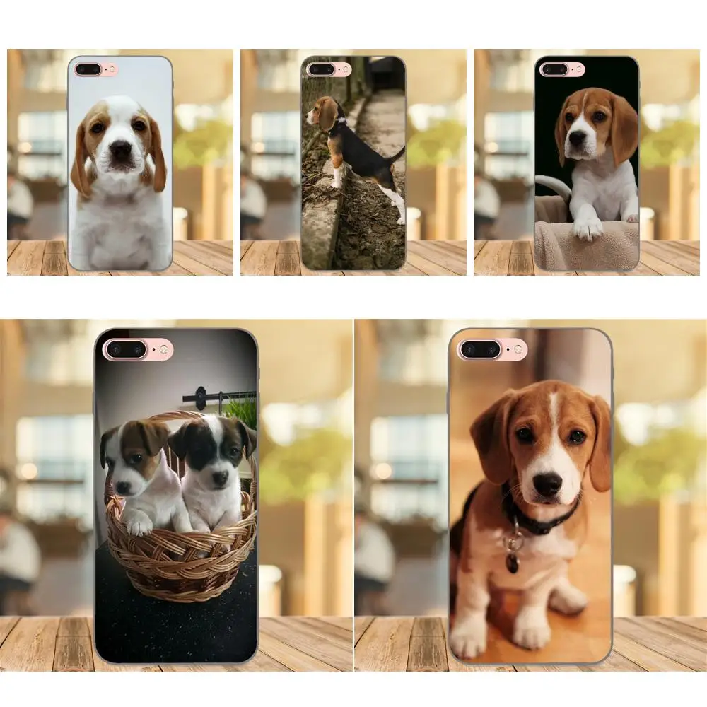 Милые Beagles щенки лояльной собаки для Galaxy C5 C7 J1 J2 J3 J330 J5 J6 J7 J730 2017 Ace Core Duo Max Mini Plus Prime