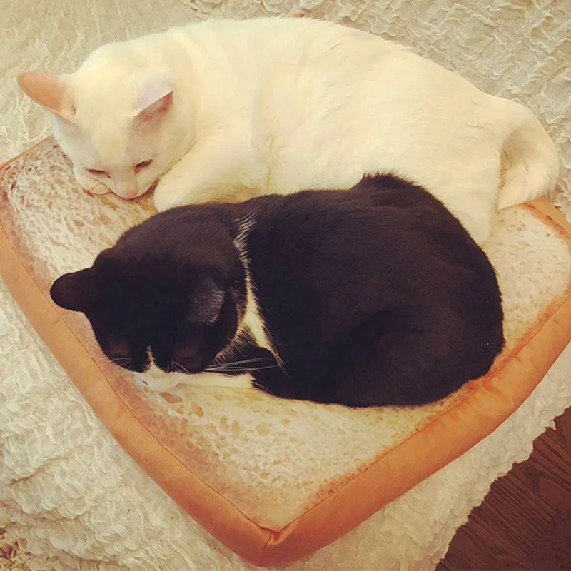 Дизайн хлебный коврик тост кошка кровать коврик Мягкий Флис щенок подушки съемные, пригодные для стирки маленькая собака кровать для чихуахуа 38*38*6,5 см 27 - Цвет: Серый