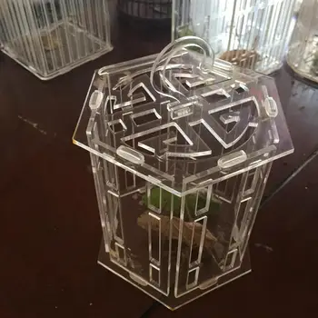 

Plastic Insect Observation Grasshopper Cricket Pet Cicada Silkworm Reptile Box Breeder Incubator Outdoor Children Kids Toy 2020