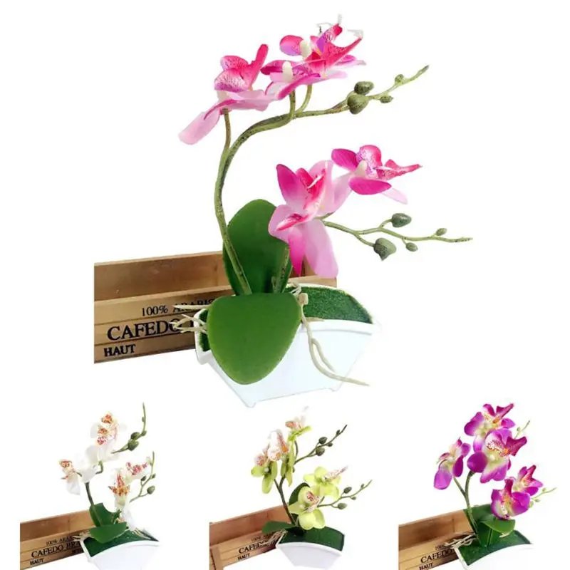 Garden Bonsai Double Fork Butterfly Orchid Plant Bonsai Creative Flower