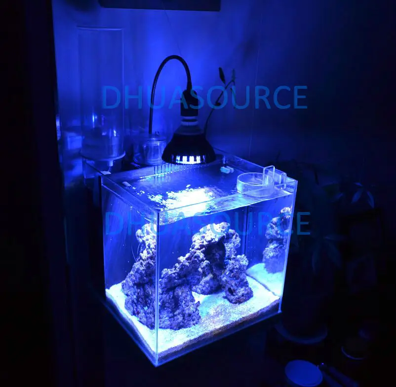 Горячая Распродажа, подгоняемые цвета E27 12w светодиодные лампы PAR38 12x3w коралловый риф растут свет высокой мощности аквариума лампы