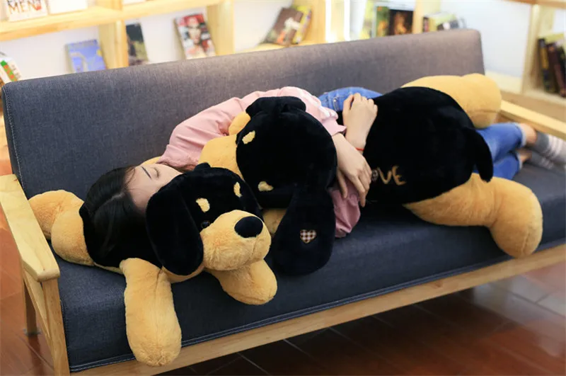 puppy dog10