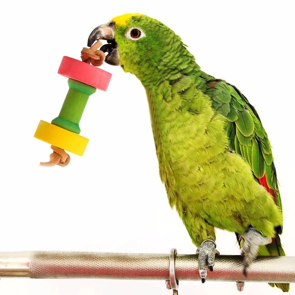 5 PCS Parrot Toy Wooden Dumbbell Cowhide Chew Toys for Parrots Parakeet
