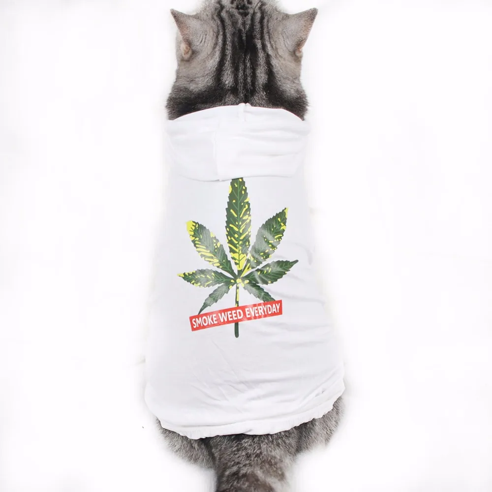 Traumdeutung Одежда для кошек пальто с капюшоном одежда котят костюм Йоркширский