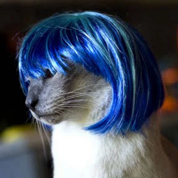 Парик для домашних животных, смешной парик для кота, Голубые короткие волосы