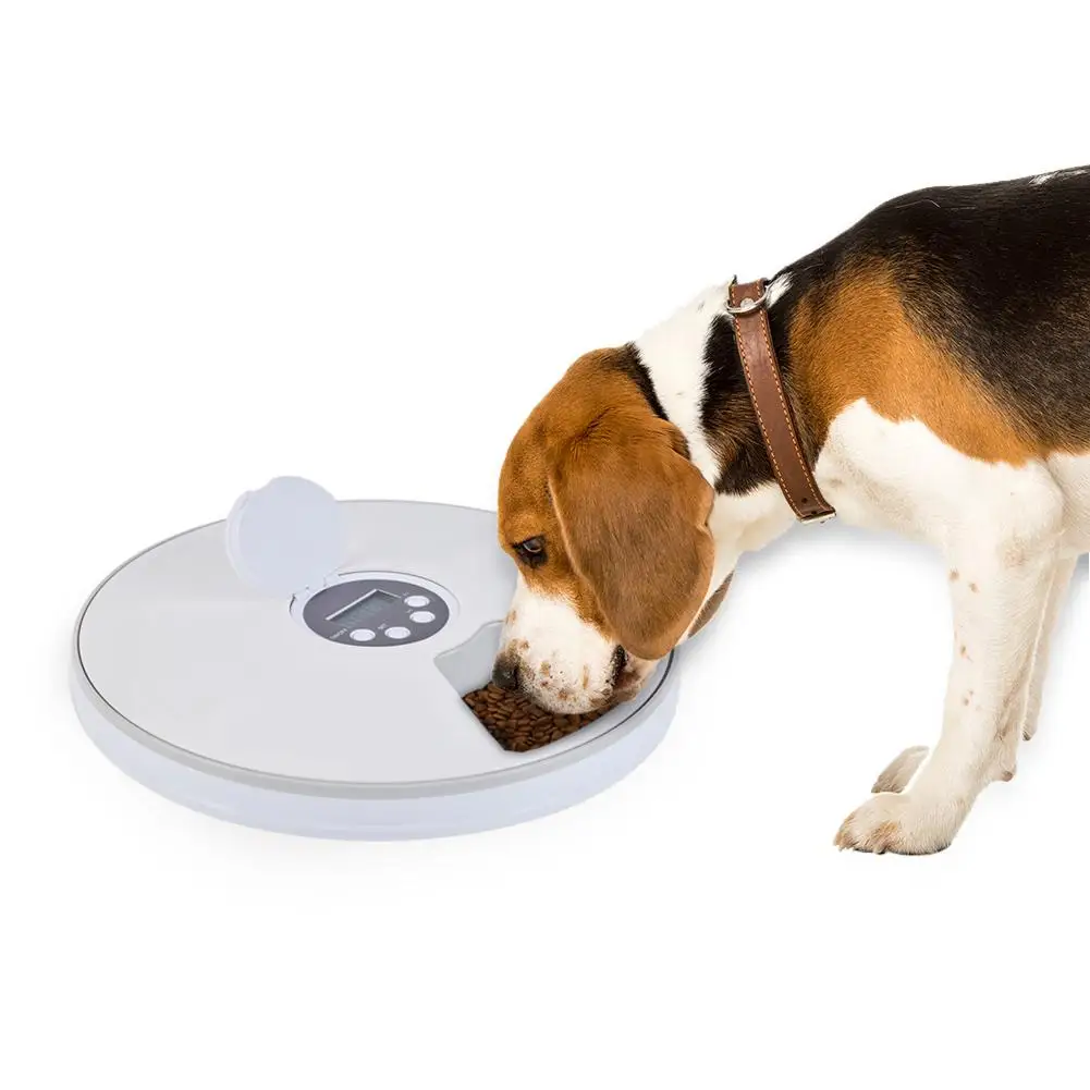 

Pet Dog Cat Feeding Dish Bowl Dog Timing Feeder 6 Grid Electric Feeder Timing Cat And Dog Unmanned Feeding Machine