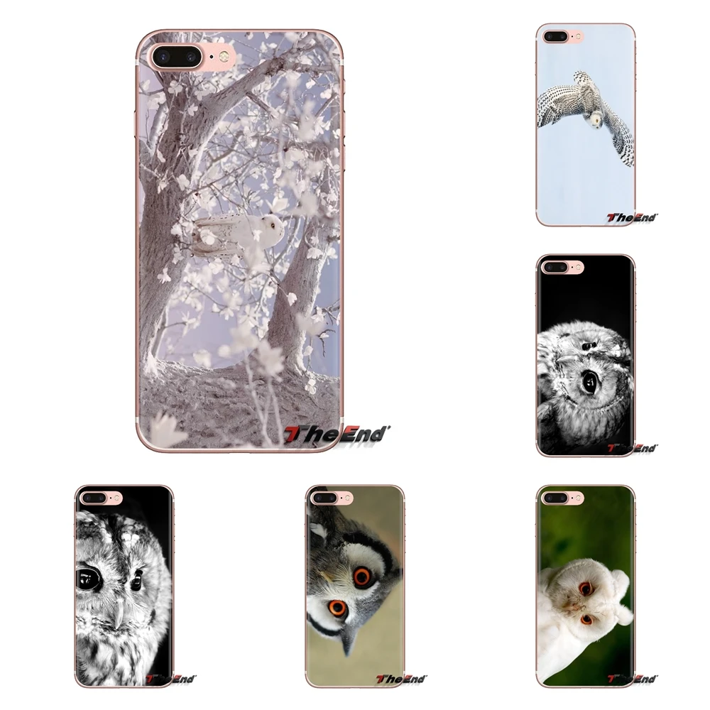 

White Owl Sweet For iPod Touch Apple iPhone 4 4S 5 5S SE 5C 6 6S 7 8 X XR XS Plus MAX Transparent Soft Cases Covers