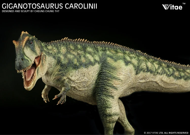 Предпродажа, биография Юрского периода, гиганотозавр, Carolinii, дошкольные животные, 1:35, модель динозавра 42 см