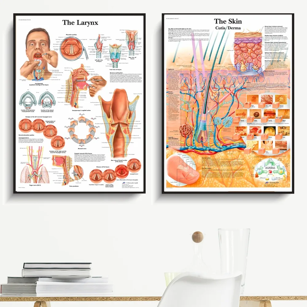 Human Organs Anatomy Medical Canvas Art Painting Posters And Prints Wall Pictures Living Room Decorative Home Decor No Frame