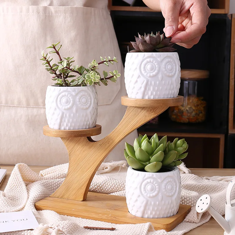 

creative succulent ceramic owl planter with treetop bamboo frame combination potted flowerpot office desk decoration home
