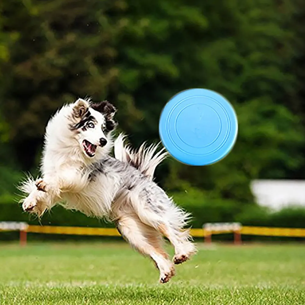 1 قطعة الكلب Frisbees التدريب اللعب تحلق أقراص الطيارة سيليكون ل كبير الكلاب الصغيرة سيليكون لون عشوائي تسليم