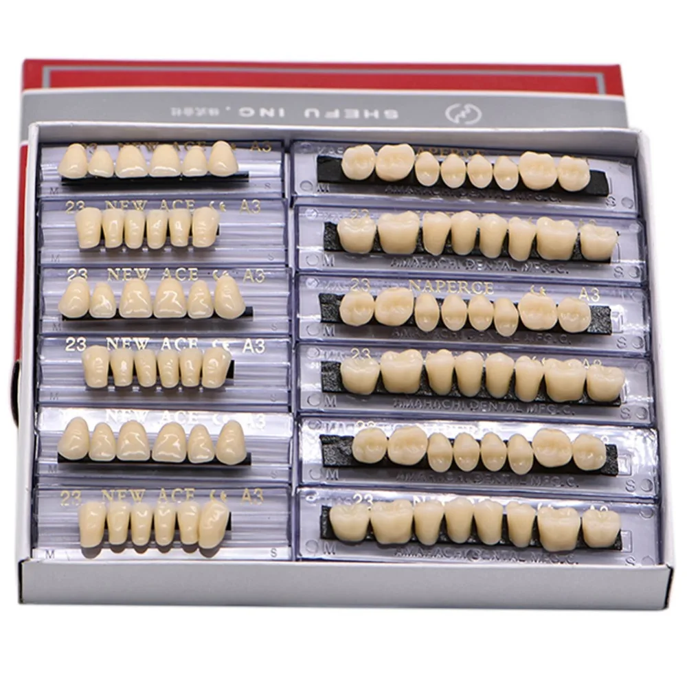 168 pcs/box Dental teeth deture dental lab dentist material 6 set