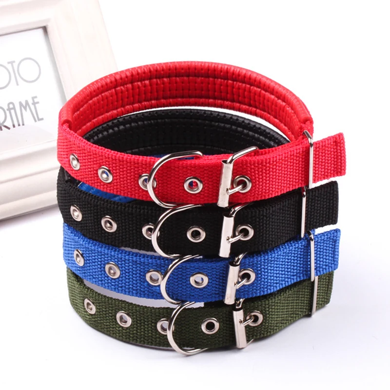 Buy Dog Padded Nylon Collar Pet Adjustable Soft Basic