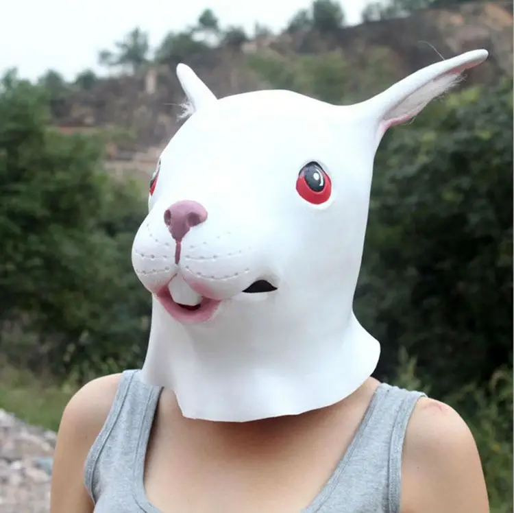Rabbit mask16