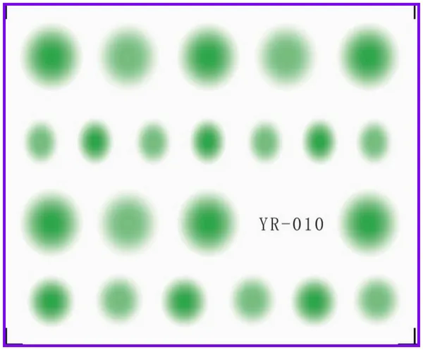 YR010