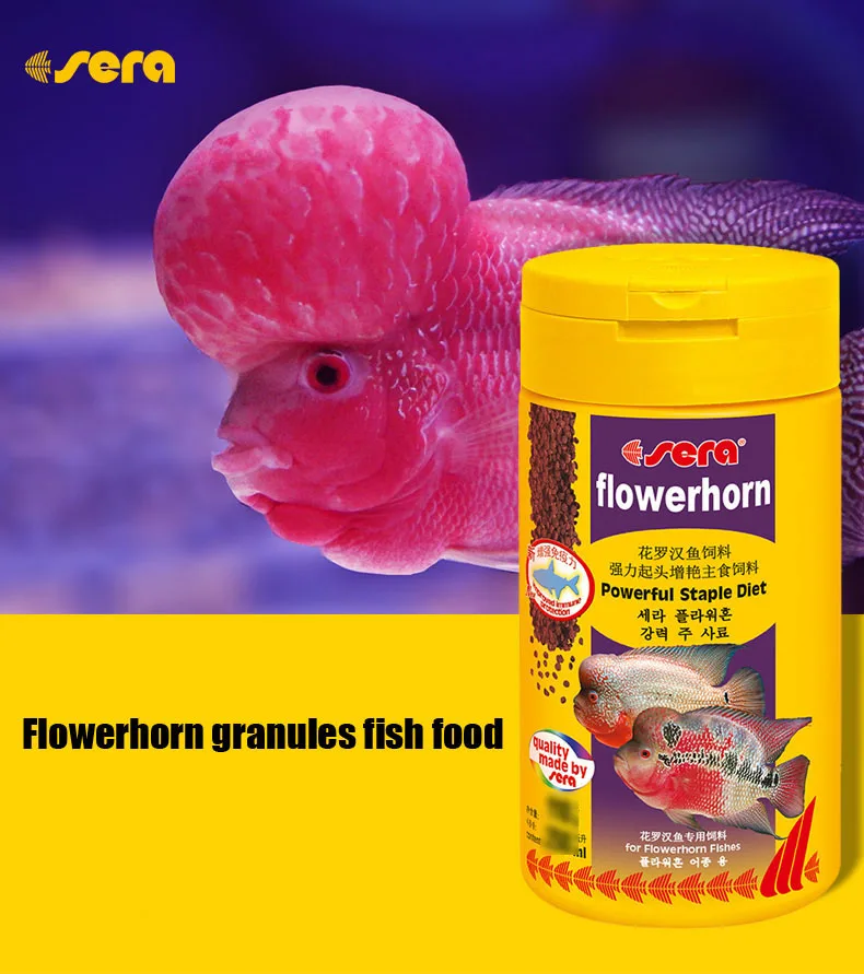 Popular Flowerhorn Fish-Buy Cheap Flowerhorn Fish lots