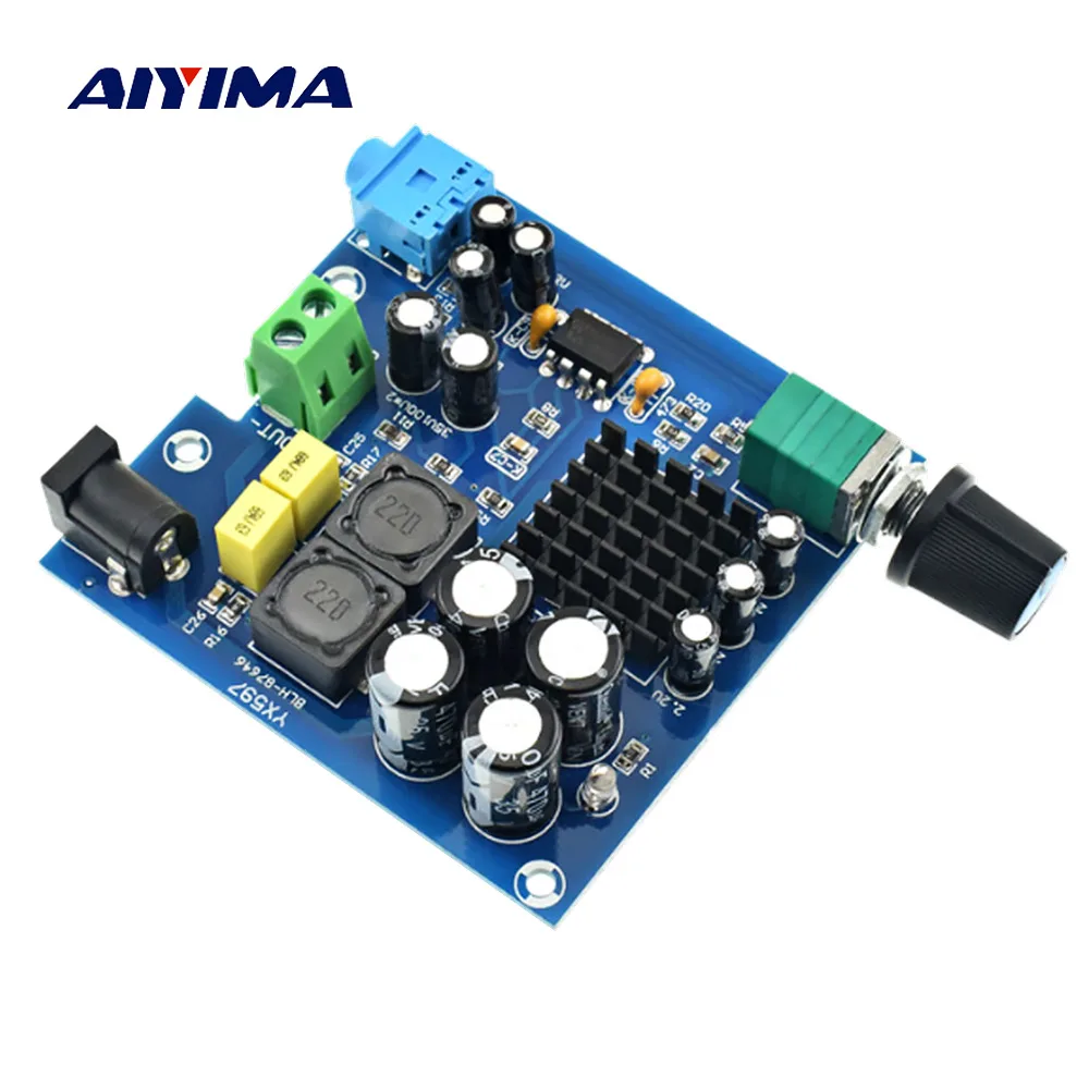 Aiyima 100 W TPA3116 Subwoofer Power 