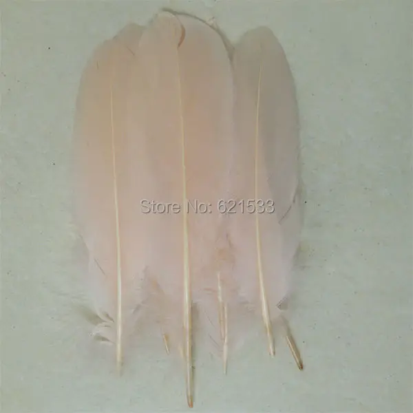 FD016 (1)