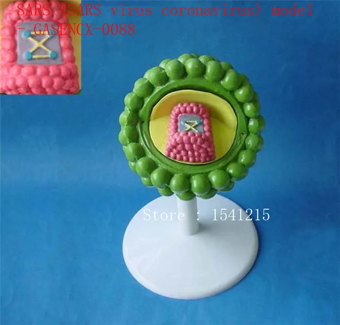 

Medical teaching aids Virus structure model Biological teaching model SARS (SARS virus coronavirus) model - GASENCX-0088