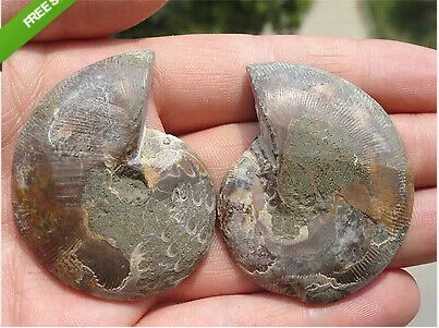 60 г натуральный магнитный минерал|miner miner|mineral naturalminerals fossils |