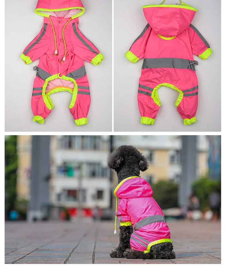 dog raincoat for small dogs (9)