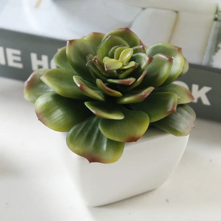 Flowermax мини суккуленты Искусственный Бонсай Поддельные Зеленый Echeveria растений
