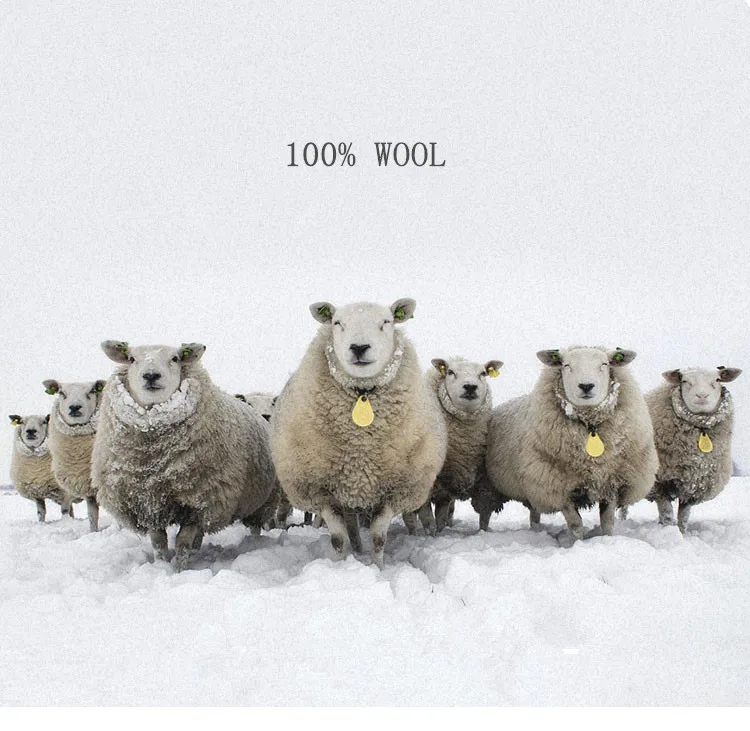 101
