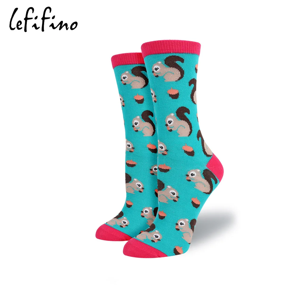 Носки женские хлопковые с рисунком белки кролика лошади лисы|women socks|socks patternsocks color