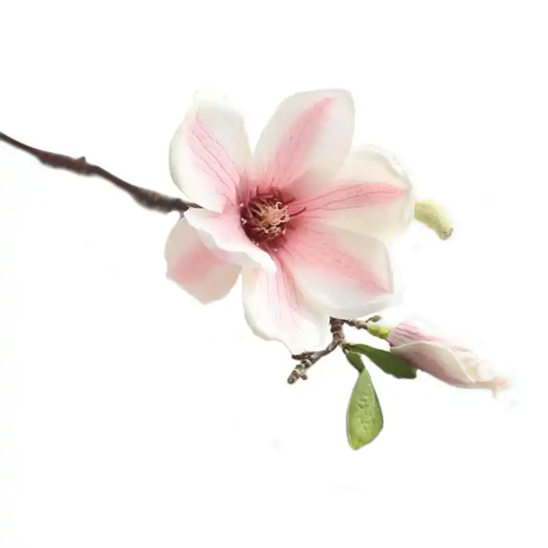 Plastik Kain Buatan Magnolia Bunga Cabang Dengan Warna Daun Hijau Rumah Dekorasi Meja Palsu Palsu Bunga Buatan Tangan Bunga Aliexpress