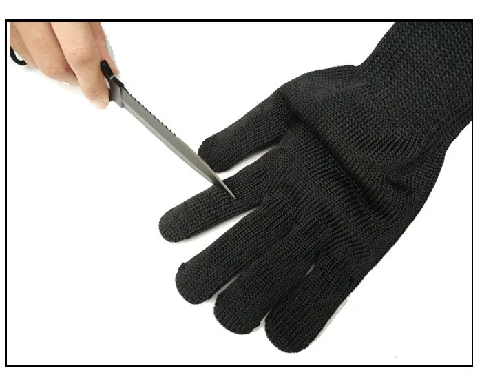 3105967278_524407871