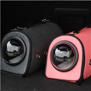 cat carrier (1)_180