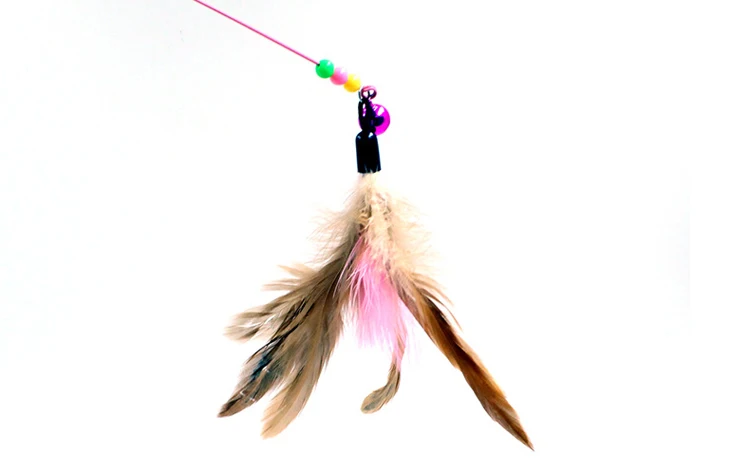 4560388071_1041227635