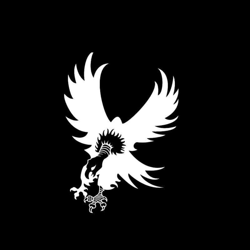 QYPF 11 3 СМ * 16 см Виниловая наклейка для автомобиля с изображением обычной посадки