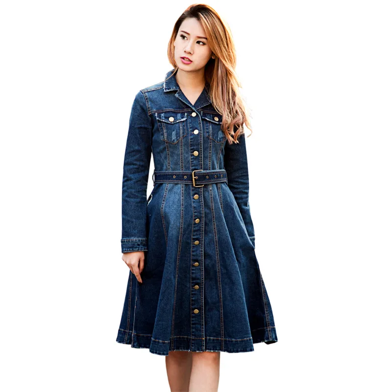 

Spring women vintage full sleeve full dress denim