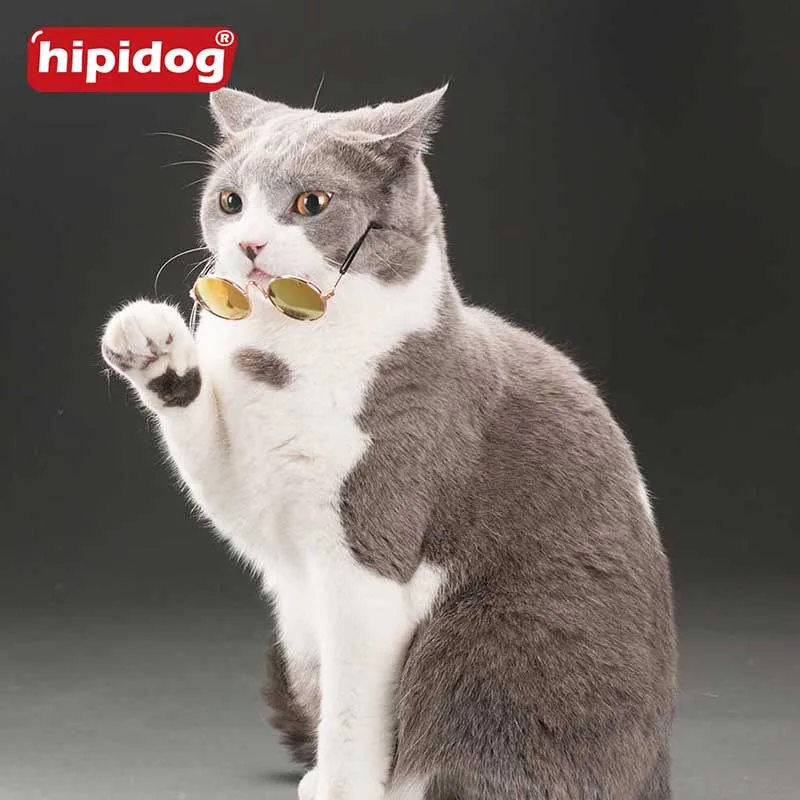 Hipidog животное здорово Очки модные с коробкой Pet Товары для собак Cat Солнцезащитные