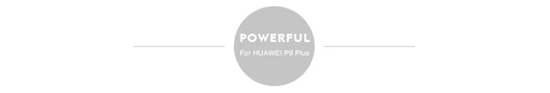 LOVE MEI Aluminum Metal Case For Huawei P9 (3)