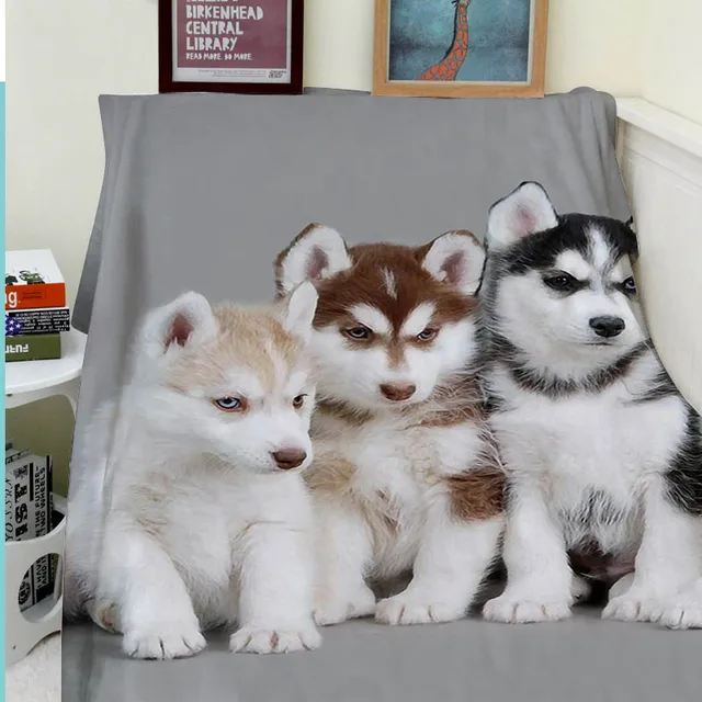 Blankets Comfort Warmth Soft Cozy Air conditioning Easy Care Machine