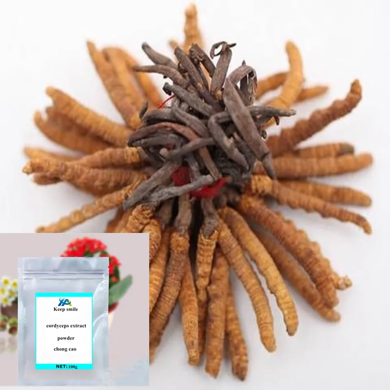 

ISO 100% Pure Natural Chinese Cordyceps Extract cordyceps extract powder chong cao Strengthen immunity Tonifying kidney