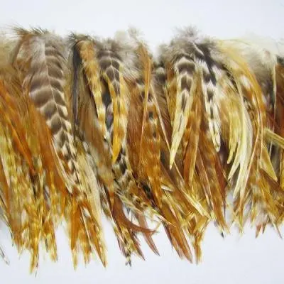 

Free Shipping! 100pcs/lot 6-8"Nature Red Grizzly CHINCHILLA Rooste Feathers Loose Rooster Feathers - Wholesale Feathers