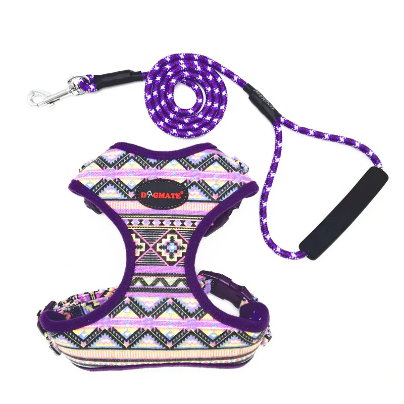 Dog Harness for Small Dogs (13)