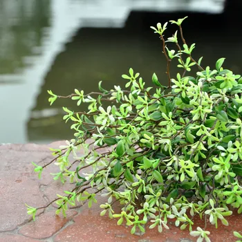 

10pc 35cm Artificial Greenery plant Green Yellow Snow grass silk flowers fake plant for home table decoration