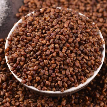 

100g new Top grade Black Bitter Buckwheat In Bag Full Germ Black Pearl Will Grain Cereal