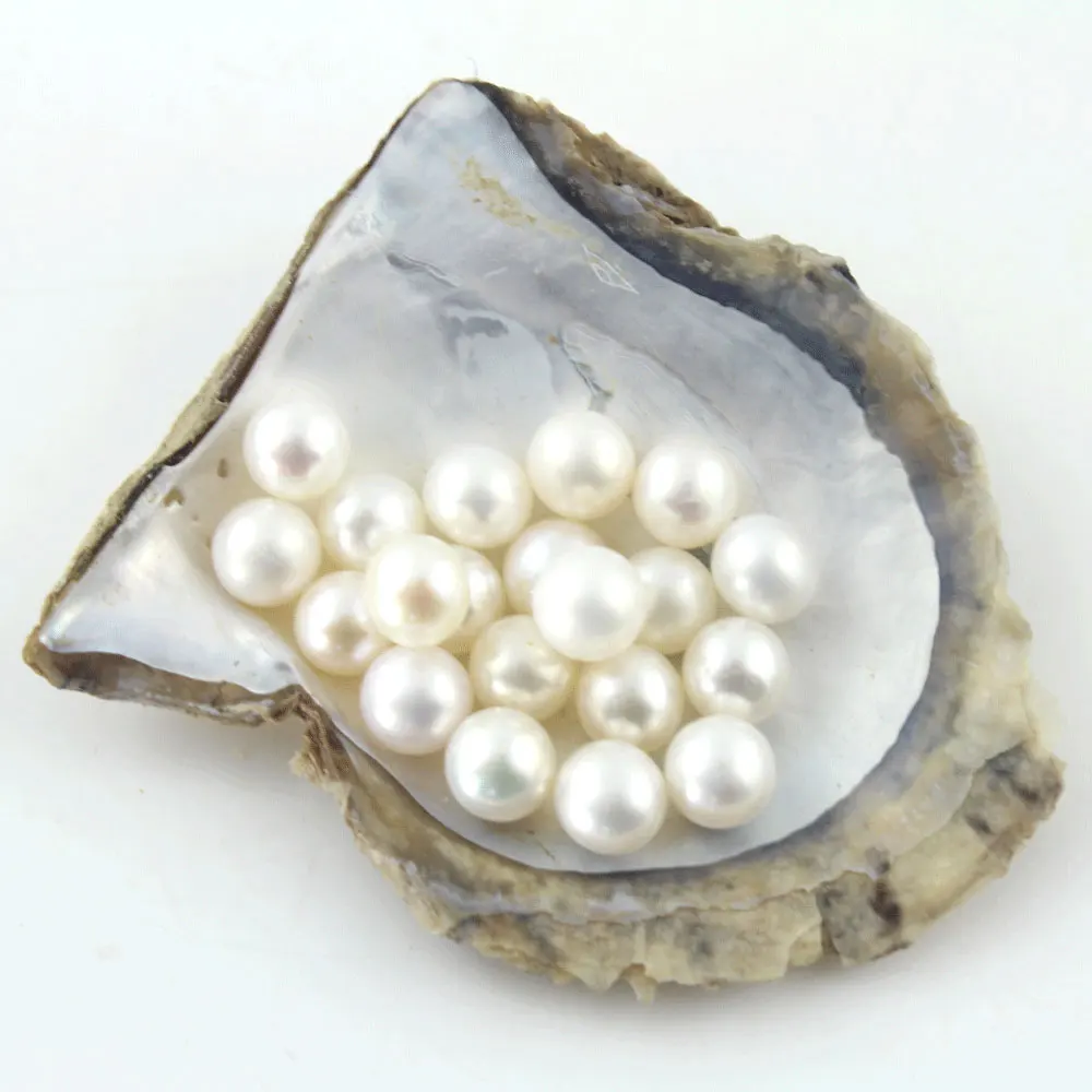 5pcs/lot 6 8MM White Round AAA Real Akoya Oyster Pearls Loose Charm
