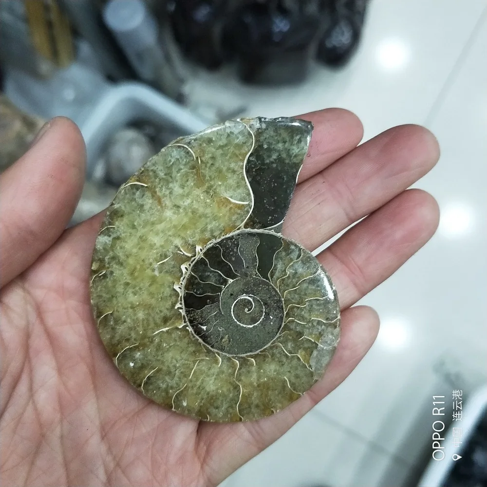 IMG20181108145609