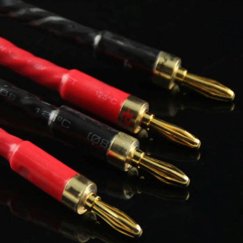 Speaker cable  (2)